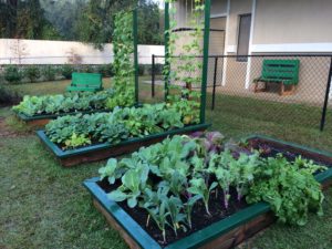 Preparing A Garden Bed For Planting Vegetables