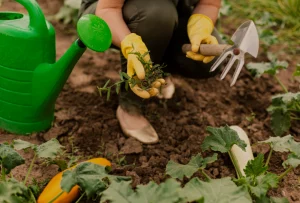 getting started with gardening at home