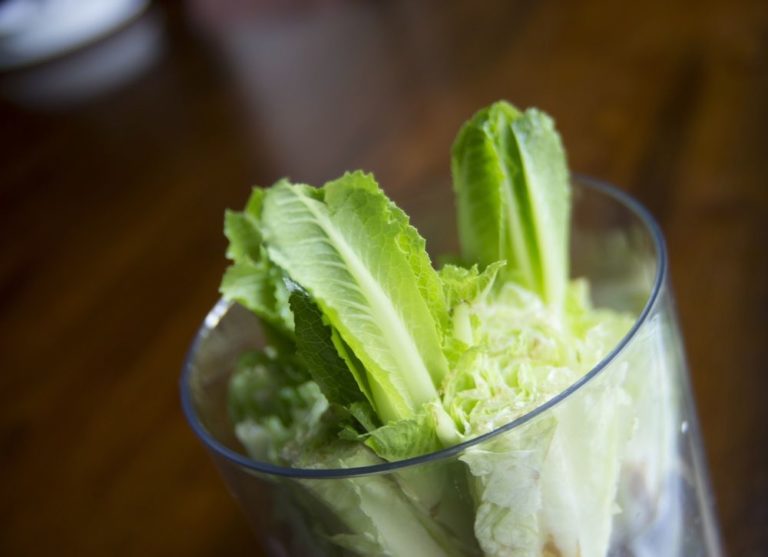 how to regrow iceberg lettuce in water